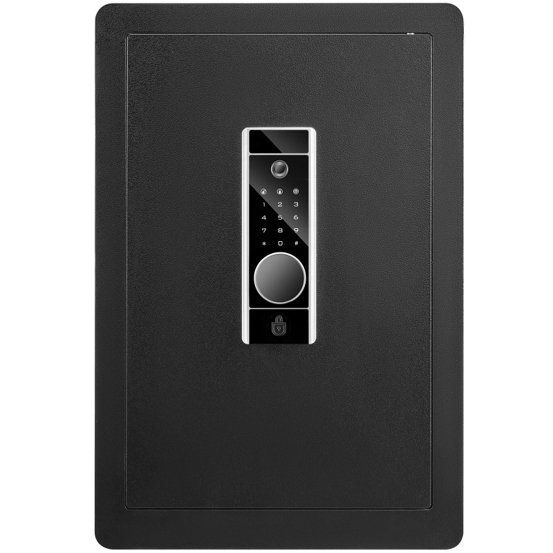 SucceBuy 電気金庫 2.2/1.8立方フィート 指紋 - Fire Safe Document のレビューと価格