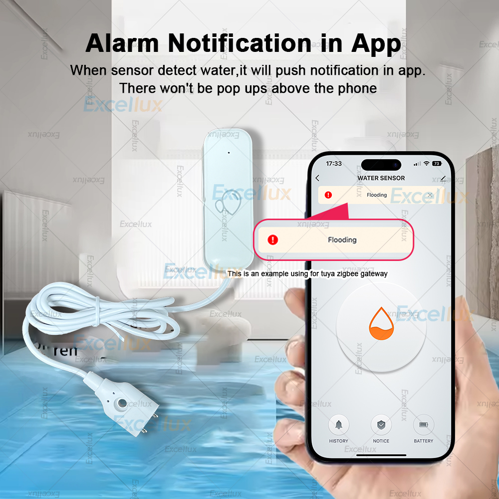 Zigbee スマート水漏れセンサー 洪水漏れ検知器 リンケ - Water Alarm Sensor のレビューと価格