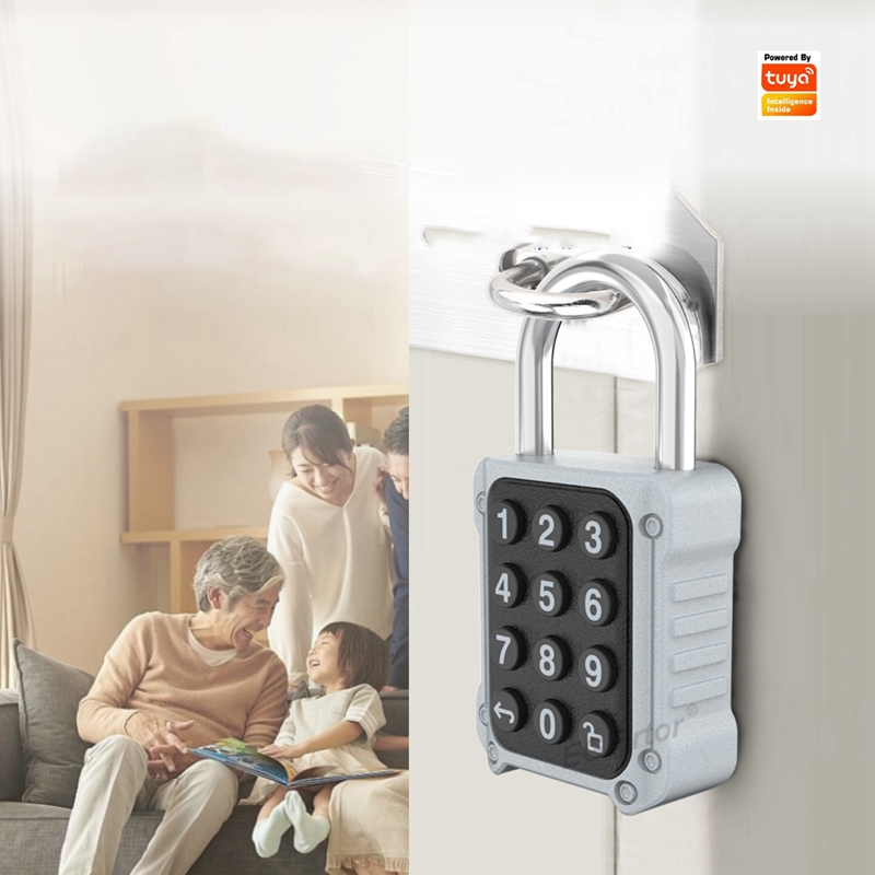 Tuya Bluetooth APP リモート電子スマート南 - Lockbox Key Secure のレビューと価格